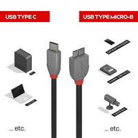 Lindy 1M Usb 3.2 Type C To Micro-B Cable, Anthra Line - W128370462