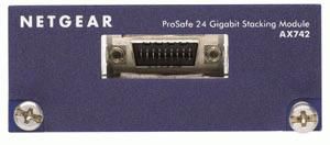 Netgear 24G/48G Stacking Kit for M5300 Series - W124885312