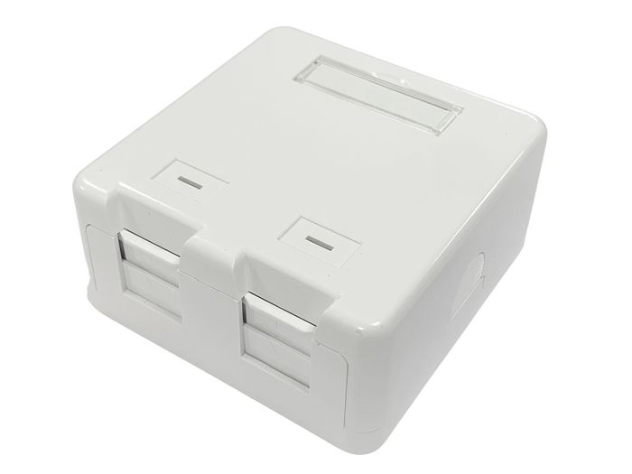 Lanview Surface mount box for 2 x RJ45 jack - W125941366