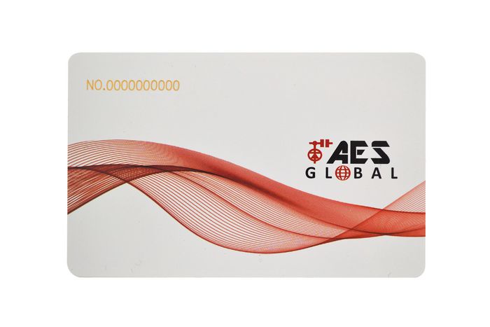 AES Global 50 Pack of 125KHz fixed 10 digit code Cards - W126732205