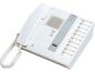 Aiphone 10-Call Master Station with Handset