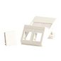 Lanview Wall plate, angled, for 2 x keystones. Fits 50x75 mm LK FUGA outlet