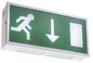LuxIntelligent Escape Exit LED Maintained metal boxed single sided addressable exit sign (Arrow Down)