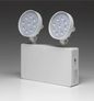LuxIntelligent Twin-LED 6W (380 Lumen) Non-Maintained Addressable