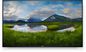 Dell C5519Qa Digital Signage Flat Panel 139.7 Cm (55") Lcd 350 Cd/M² 4K Ultra Hd Black