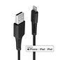 Lindy 3m USB Type A to Lightning Cable, Black